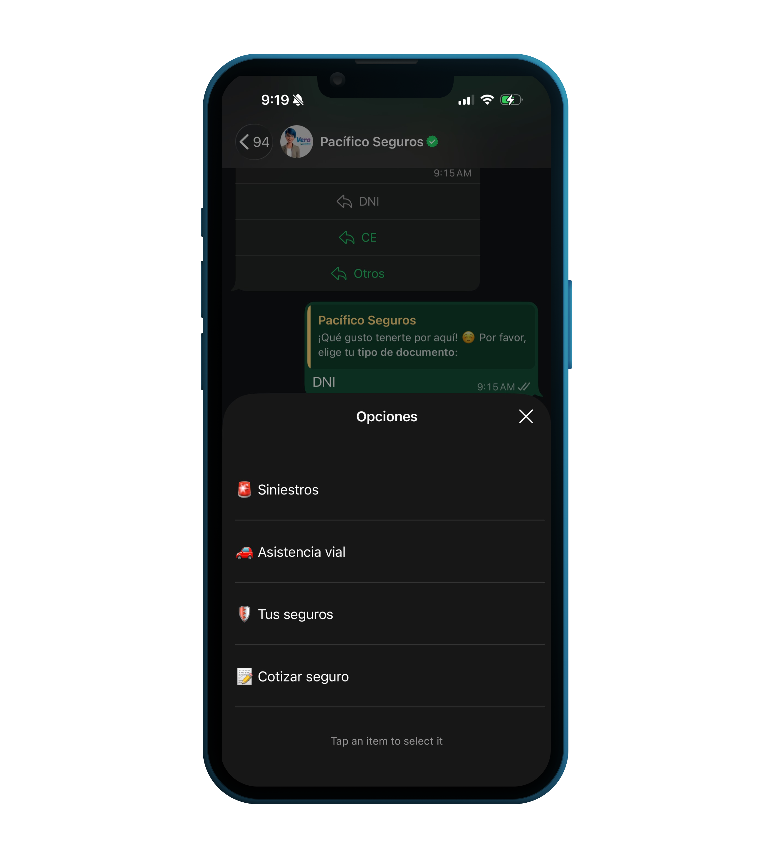 Pantalla de la conversación con opciones para explicar la necesidad