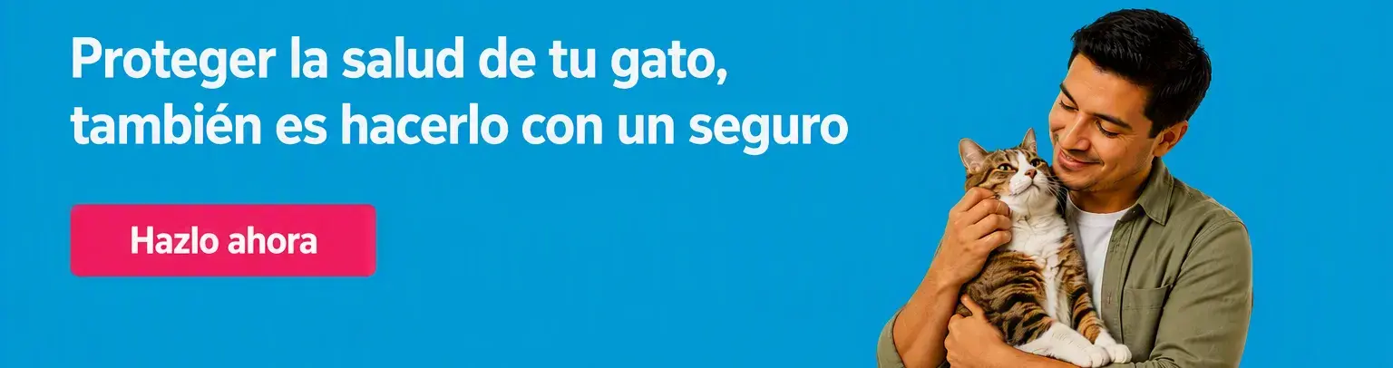 Banner Pacífico Seguros: Protege la salud de tu gato, también es hacerlo con un seguro. Hazlo ahora.